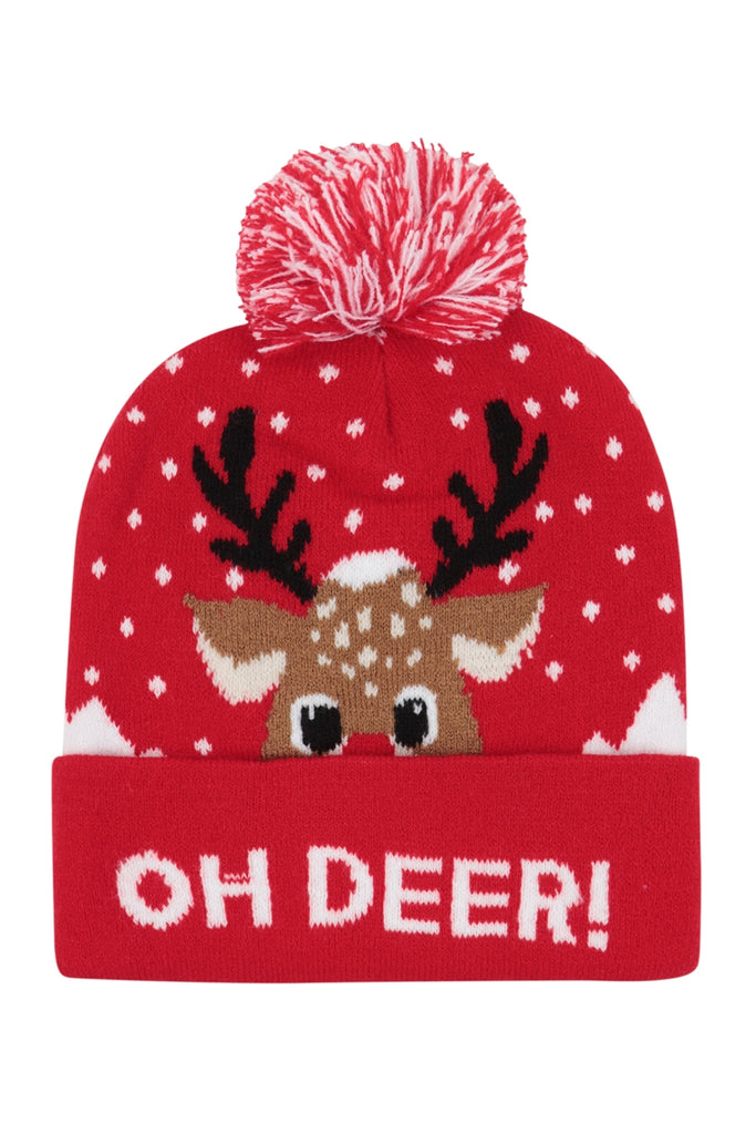 CHRISTMAS HOLIDAY DESIGN POMPOM BEANIE