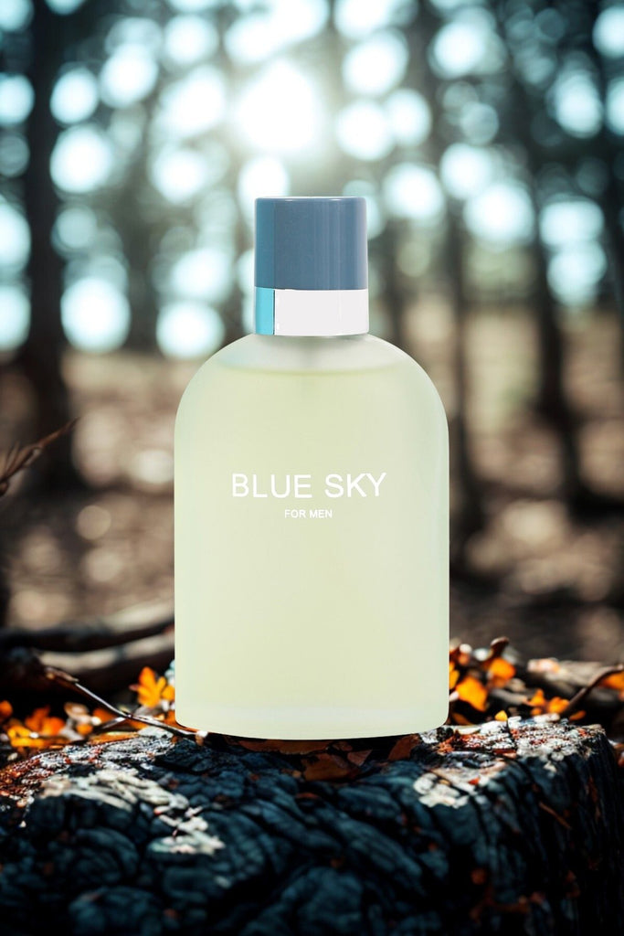 BLUE SKY SPRAY PERFUME EAU DE PARFUM FOR MEN - 100ML/3.4 FL.OZ. - Riah Fashion