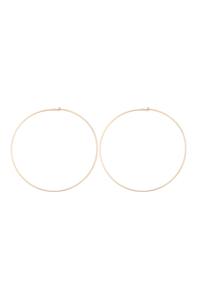 25805-120 - 2MM WIRE 120MM HOOP