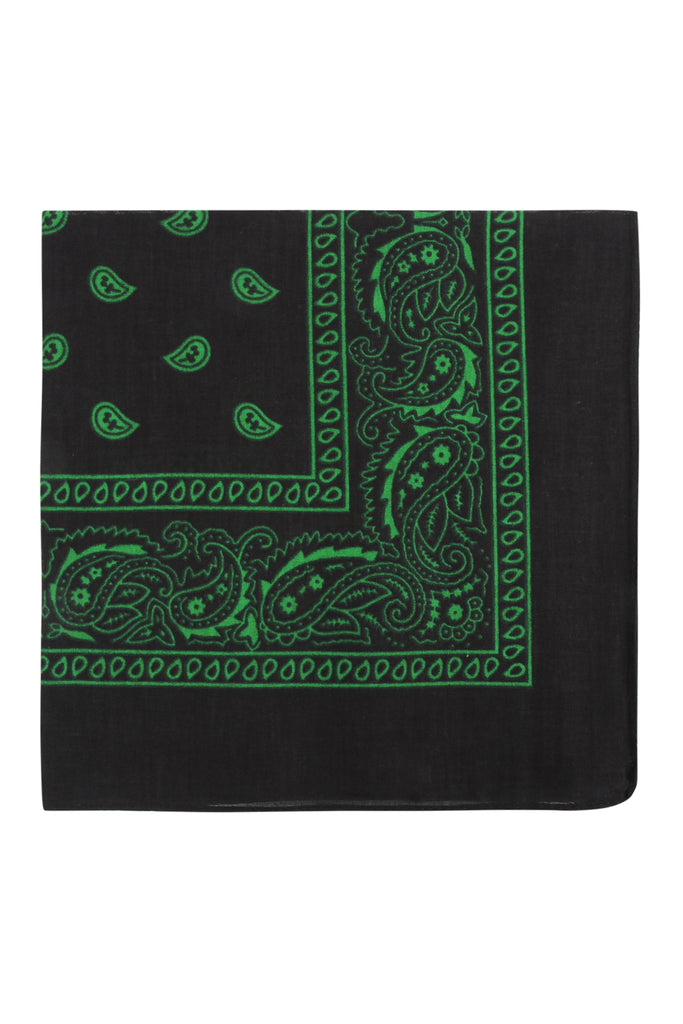 PAISLEY PRINT BANDANA