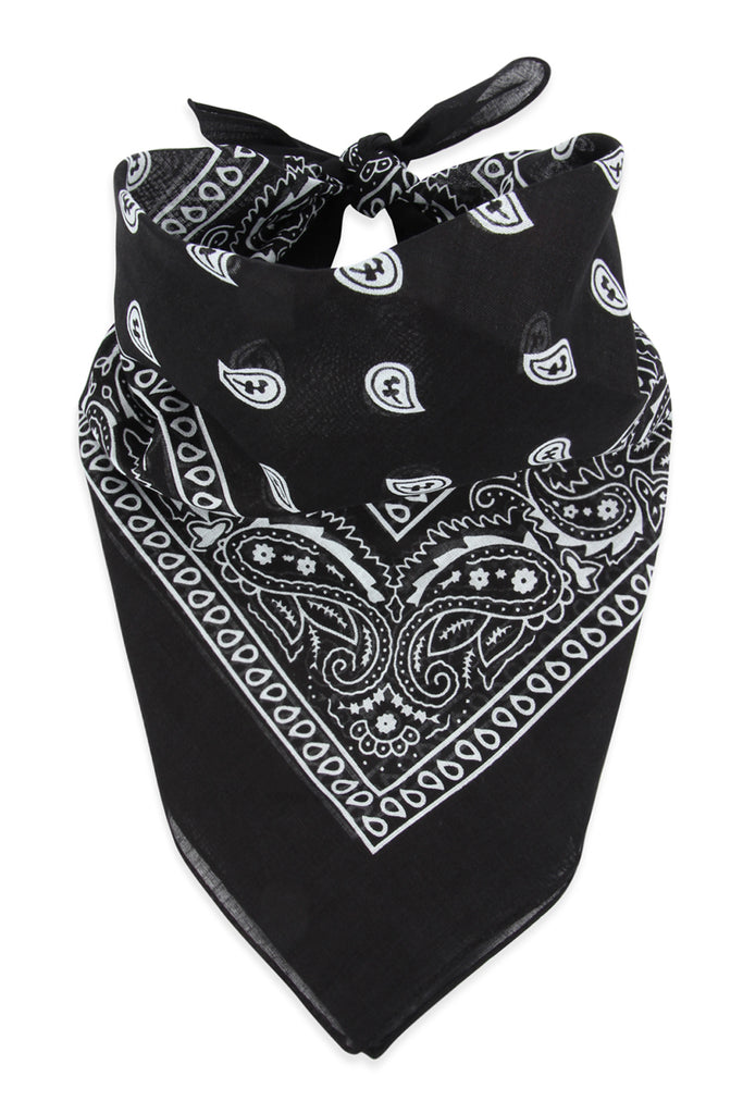 PAISLEY PRINT BANDANA