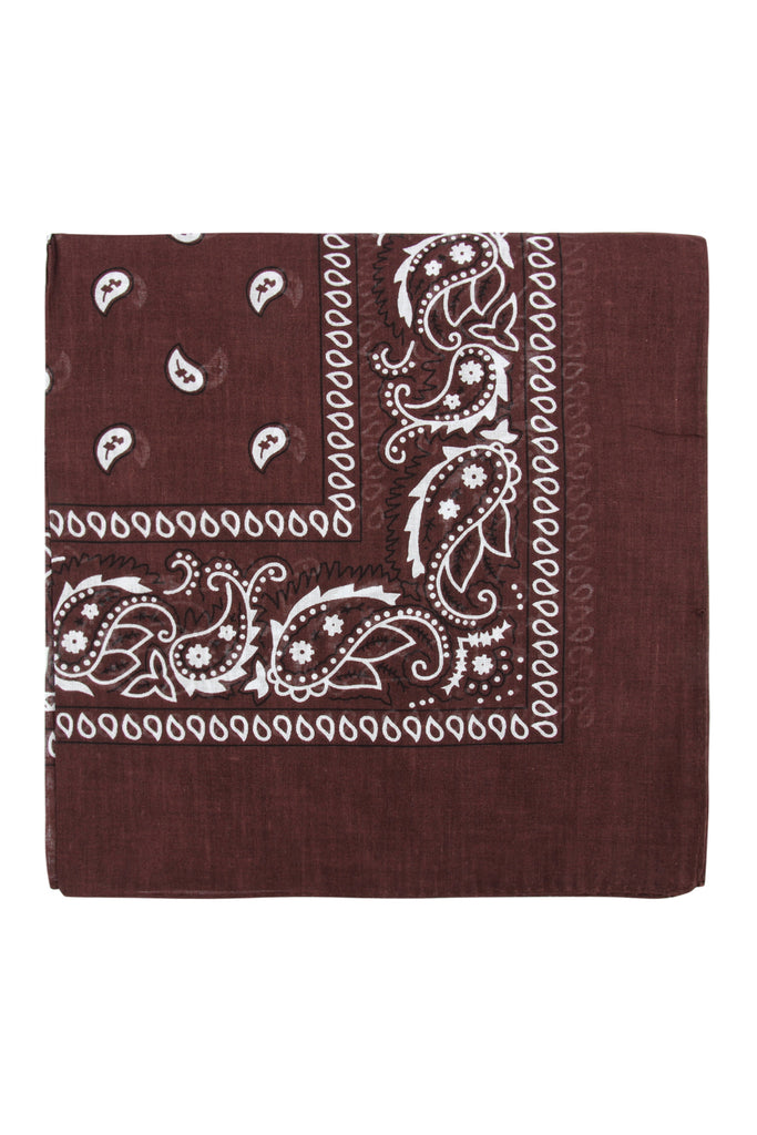 PAISLEY PRINT BANDANA