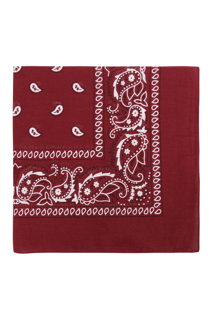 PAISLEY PRINT BANDANA