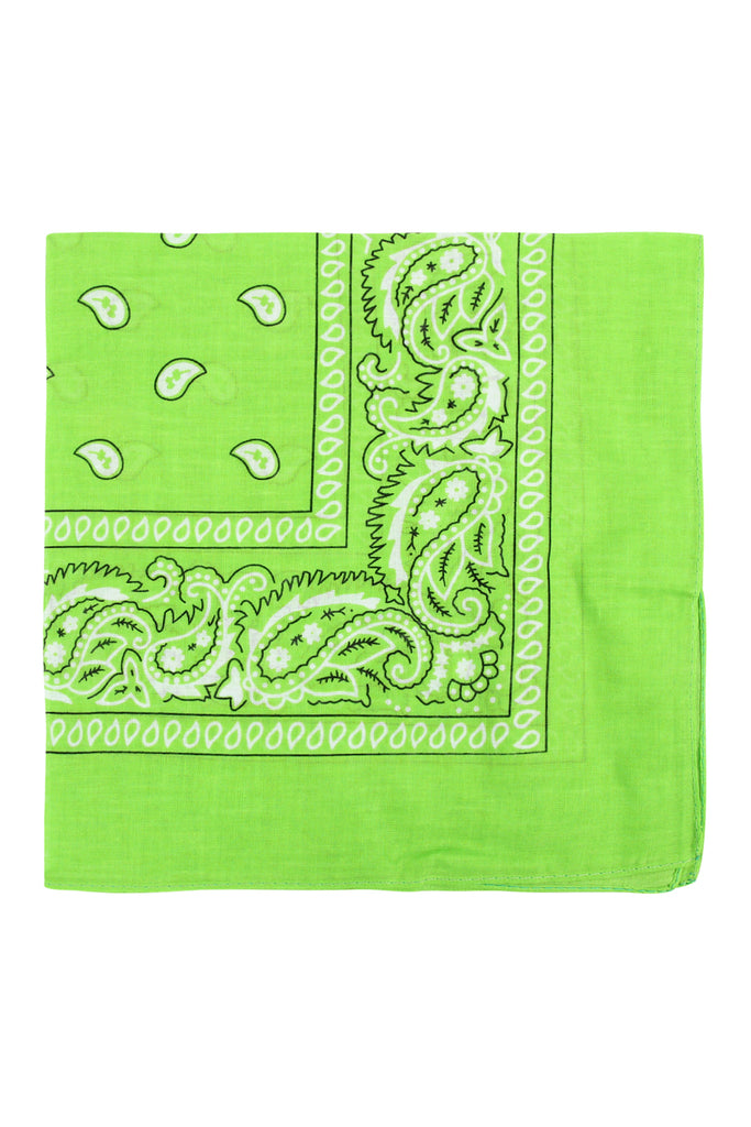 PAISLEY PRINT BANDANA
