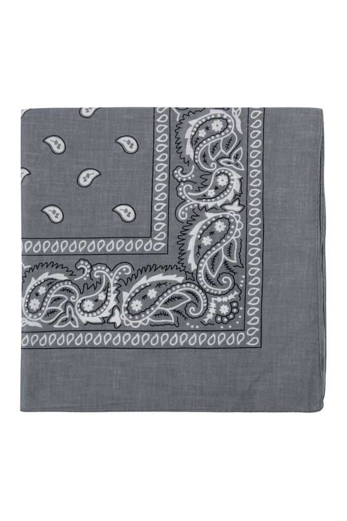 PAISLEY PRINT BANDANA