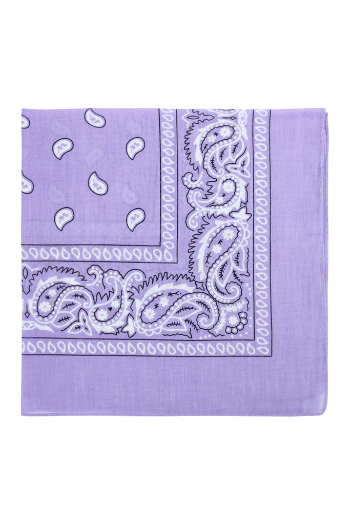 PAISLEY PRINT BANDANA