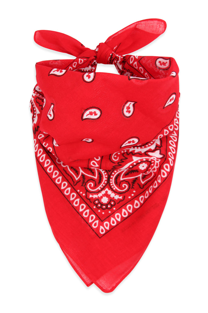 PAISLEY PRINT BANDANA