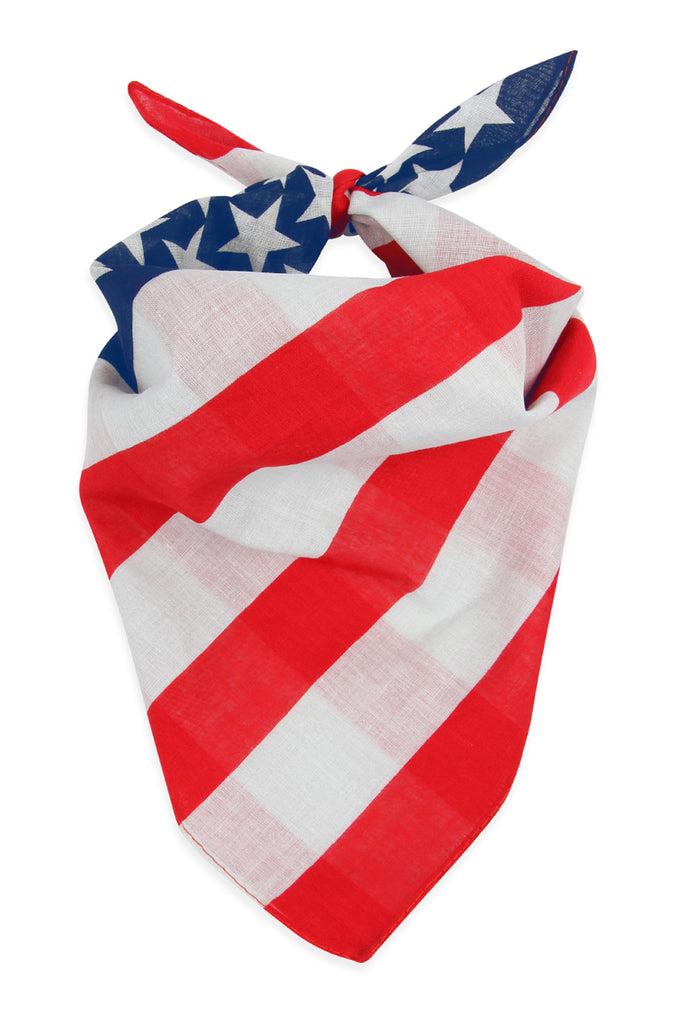 PAISLEY PRINT BANDANA