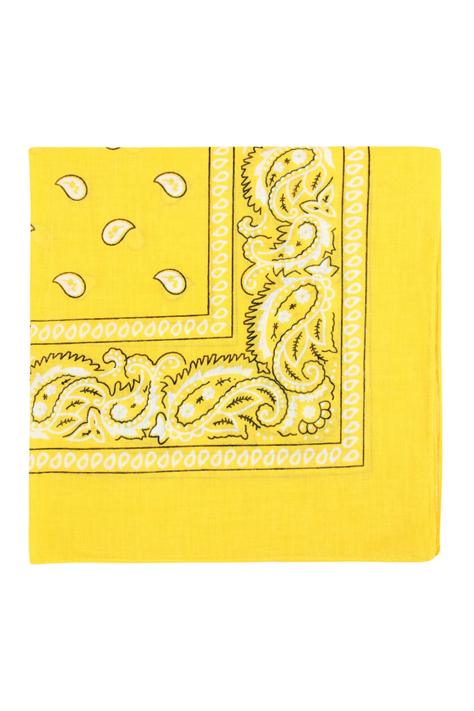 PAISLEY PRINT BANDANA