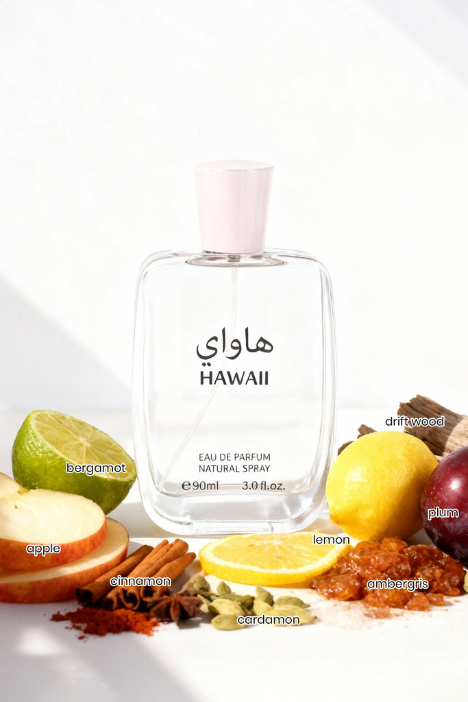 HAWAII SPRAY PERFUME EAU DE PARFUM FOR MEN - 90ML/3.0FL.OZ. - Riah Fashion