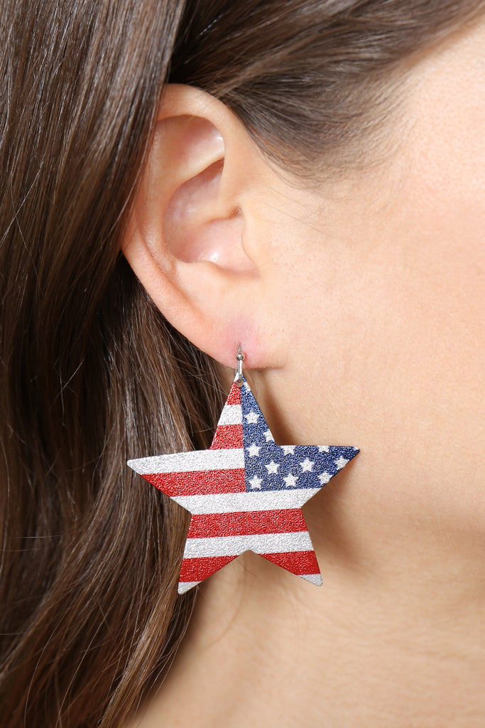 USA FLAG STAR FISH HOOK DROP EARRINGS