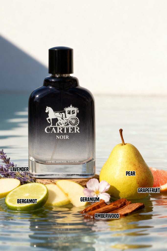 CARTER NOIR SPRAY PERFUME EAU DE PARFUM FOR MEN - 100ML/3.4FL.OZ.