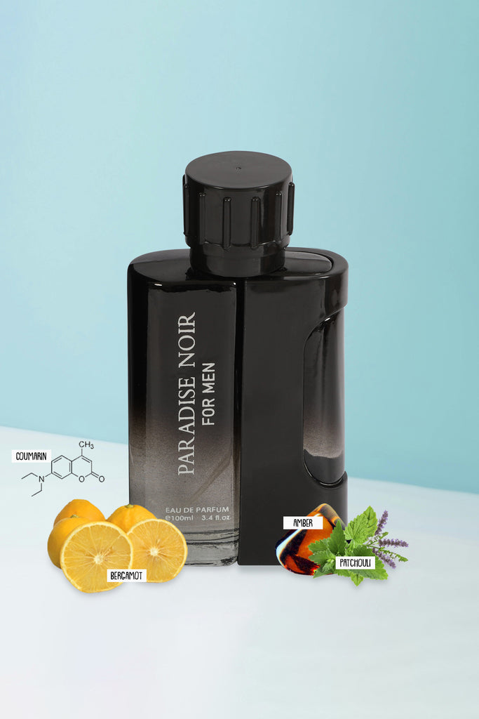 PARADISE NOIR SPRAY PERFUME EAU DE PARFUM FOR MEN - 100ML/3.4FL.OZ. - Riah Fashion