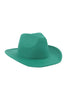 FELT FASHION BRIM HAT