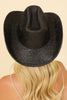 GLITTER SOLID COLOR FEDORA HAT