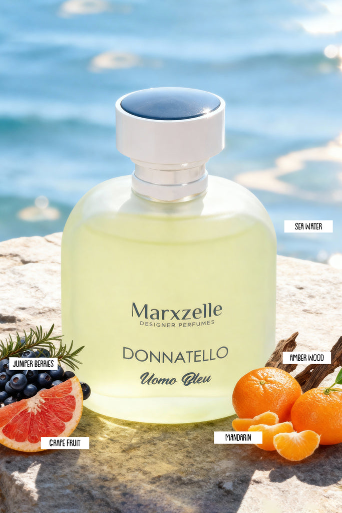 DONNATELLO UOMO BLEU SPRAY PERFUME EAU DE PARFUM FOR MEN - 100ML/3.4FL.OZ. - Riah Fashion