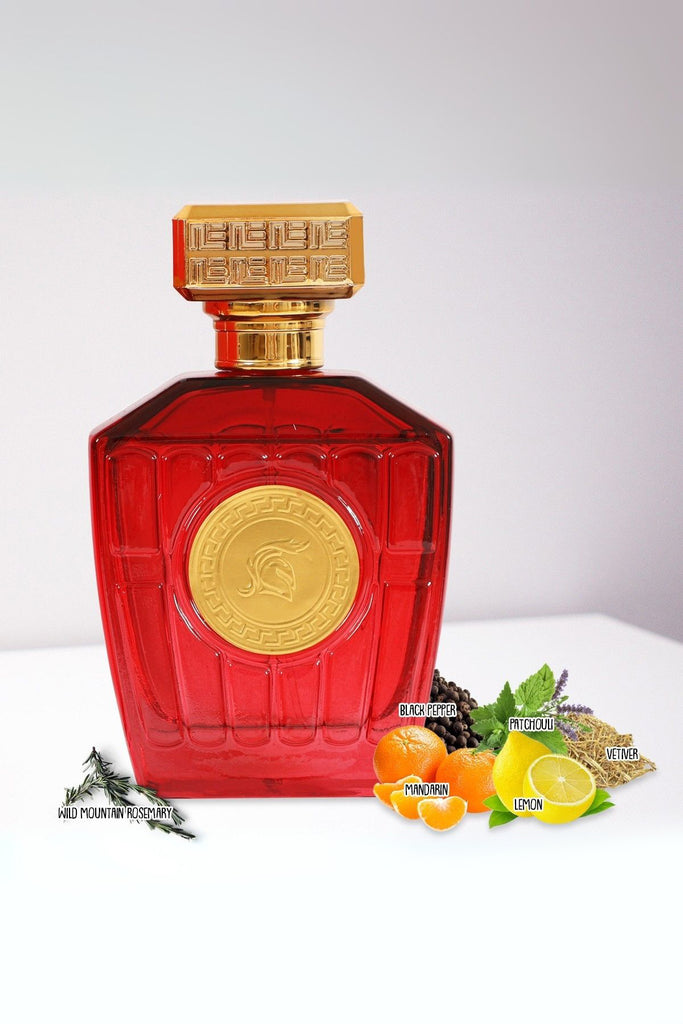 VERSION OF RED SPRAY PERFUME EAU DE PARFUM FOR MEN - 100ML/3.4FL.OZ.