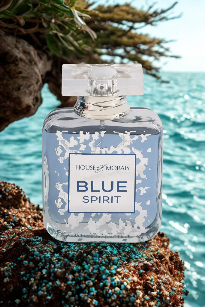 BLUE SPIRIT SPRAY PERFUME EAU DE PARFUM FOR MEN - 100ML/3.4FL.OZ.