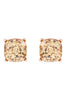 AE0333-GLITTER EPOXY STUD EARRINGS