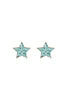 AE0358 - STAR GLITTER EPOXY STUD EARRINGS