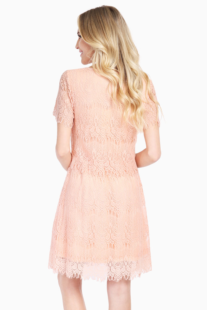 Short Sleeve A-Line Lace Dress