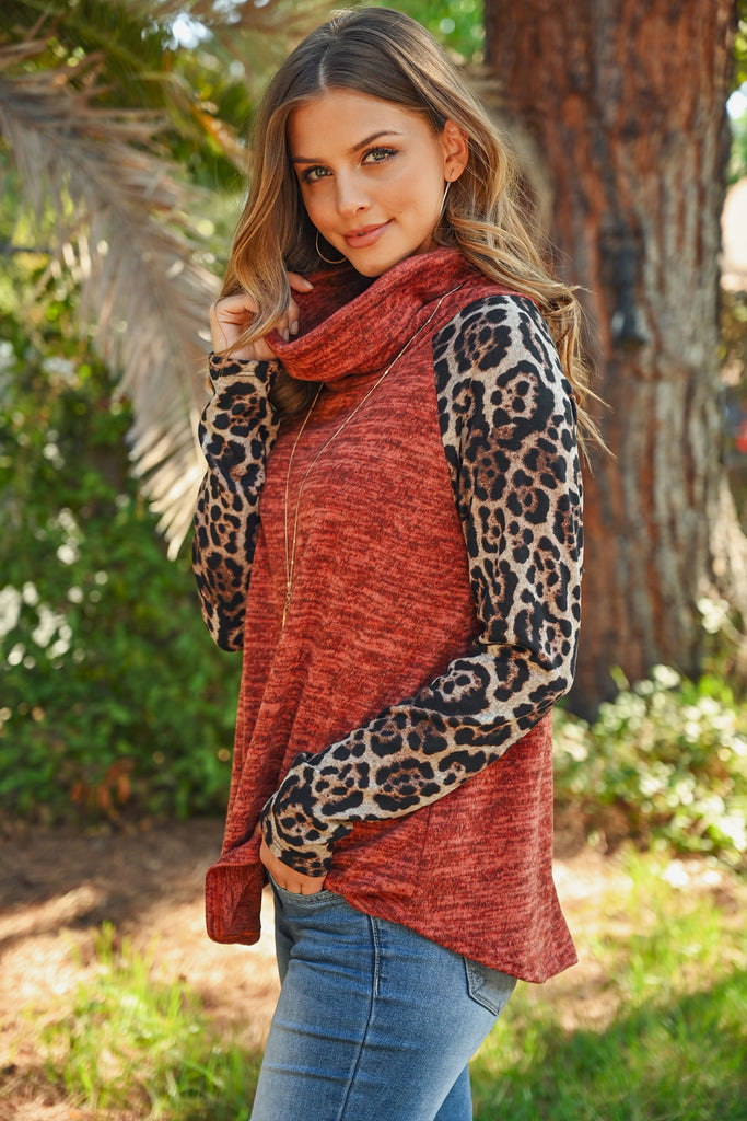 Leopard Sleeve Cowl Neck Two Tones Hacci Top