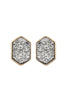 DRUZY HEXAGON POST EARRINGS